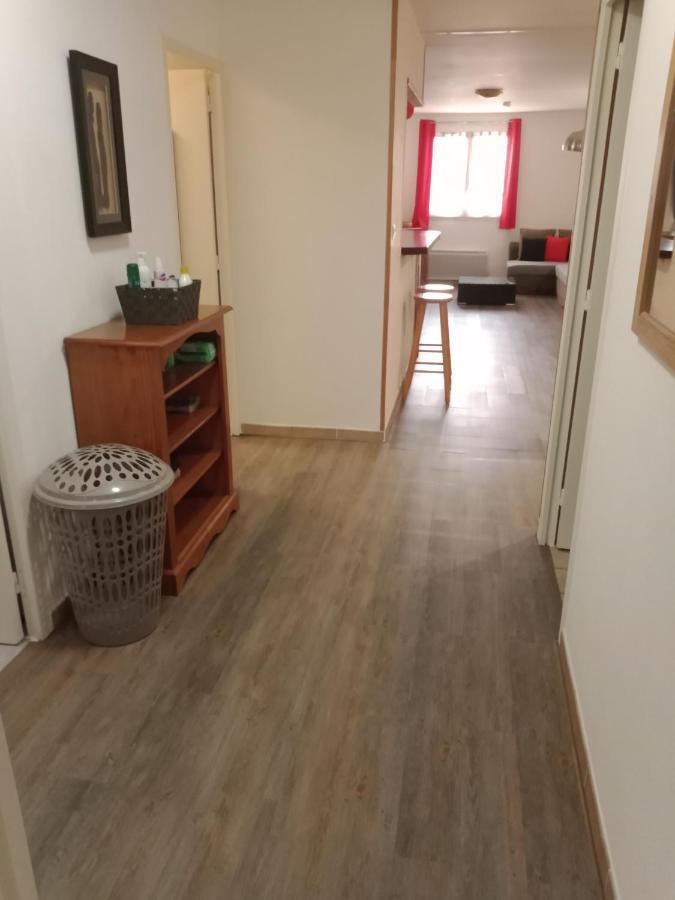 Superbe T3 De 85 Metres Carres Apartment Toulouse Luaran gambar